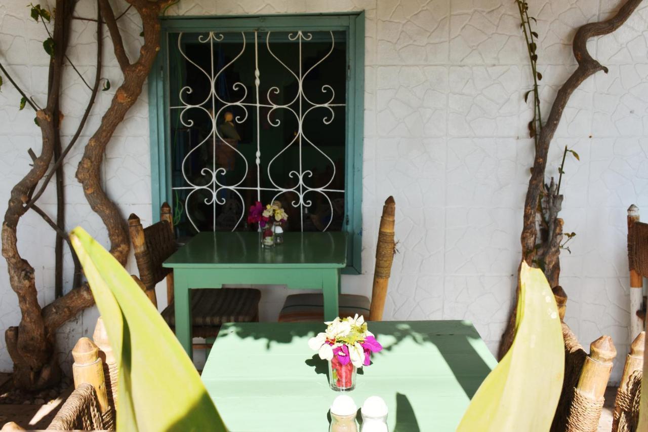 Surf Maroc'S Auberge 타가주트 외부 사진